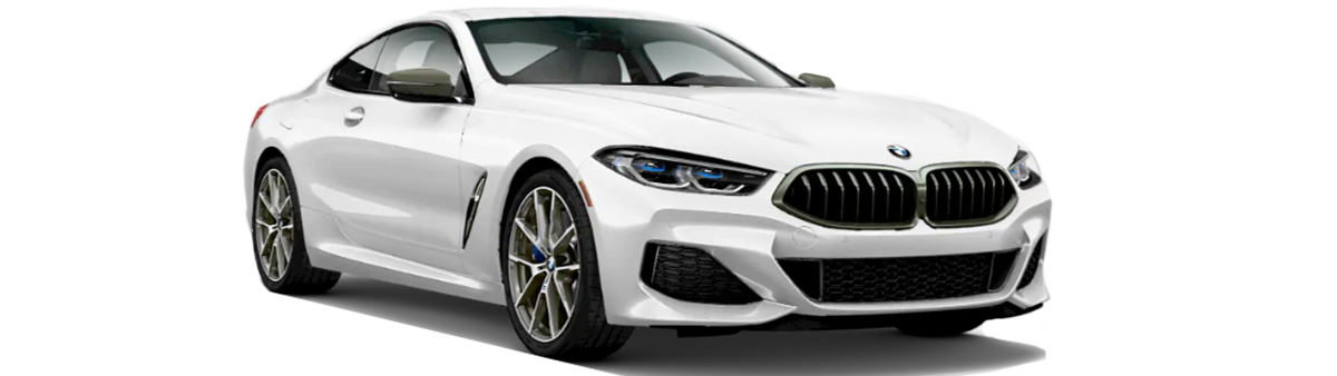  BMW Serie 8 2019: Coupé de lujo [CARACTERÍSTICAS]